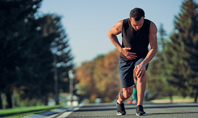 Resolving Issues at the Core of muscle 